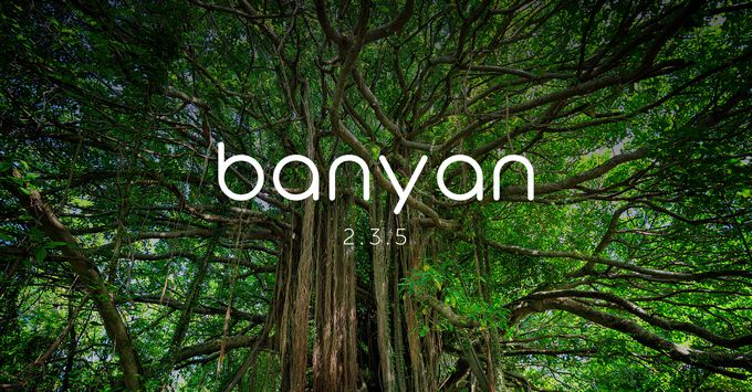 NIO Banyan 2.3.5-update