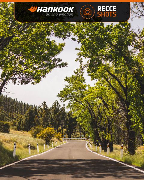 FIA WRC Rally Islas Canarias 2025 Foto 10