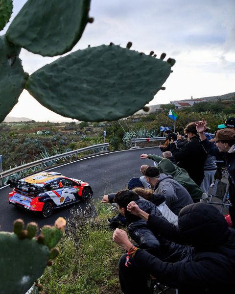 FIA WRC Rally Islas Canaria Foto 13