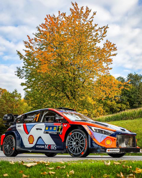 Hyundai Motorsport @ FIA WRC Central European Rally 2025 Foto 7