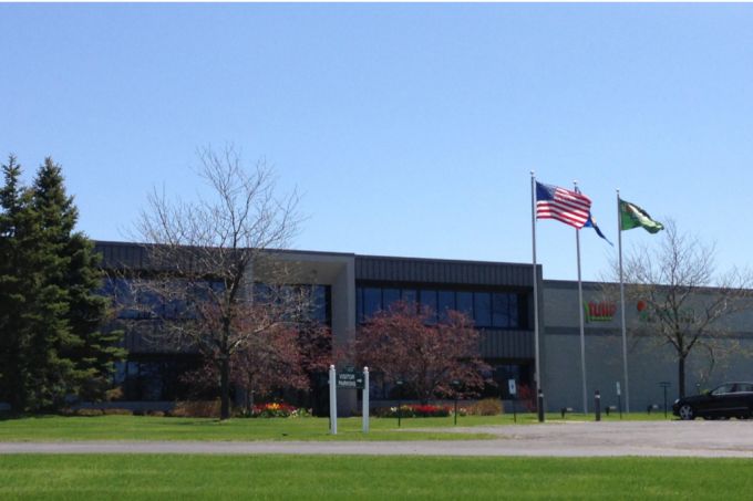 Veekay en Tulipworld.com