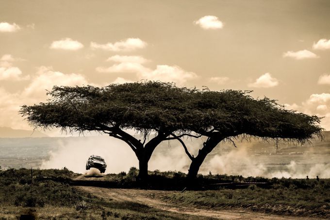 FIA WRC Safari Rally Kenia 2026 5