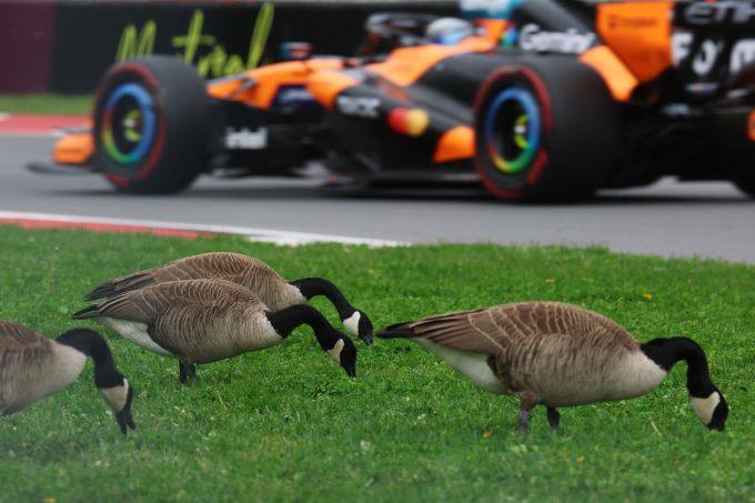 Uitslag Formule 1 kwalificatie Canada